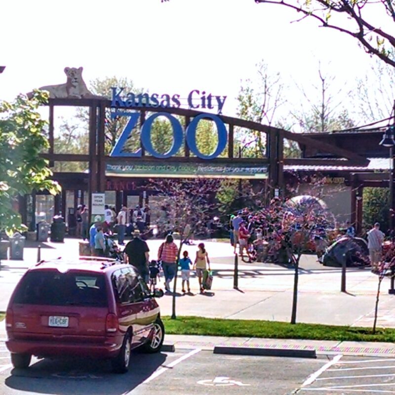 Zoo11